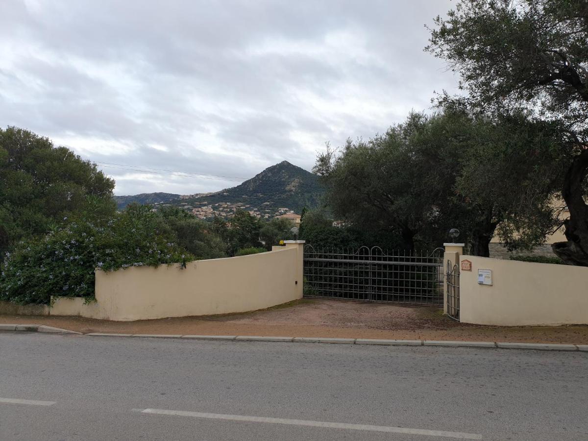 Villa Athena LʼÎle-Rousse المظهر الخارجي الصورة