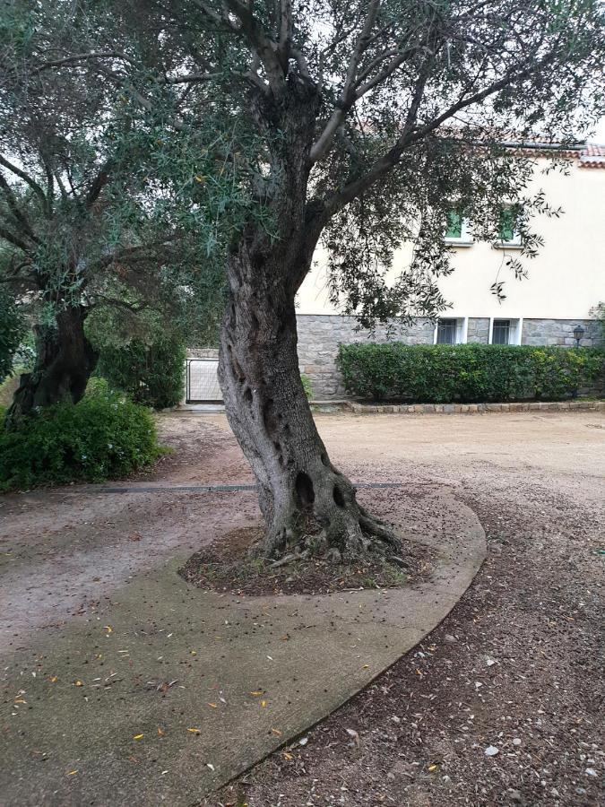 Villa Athena LʼÎle-Rousse المظهر الخارجي الصورة